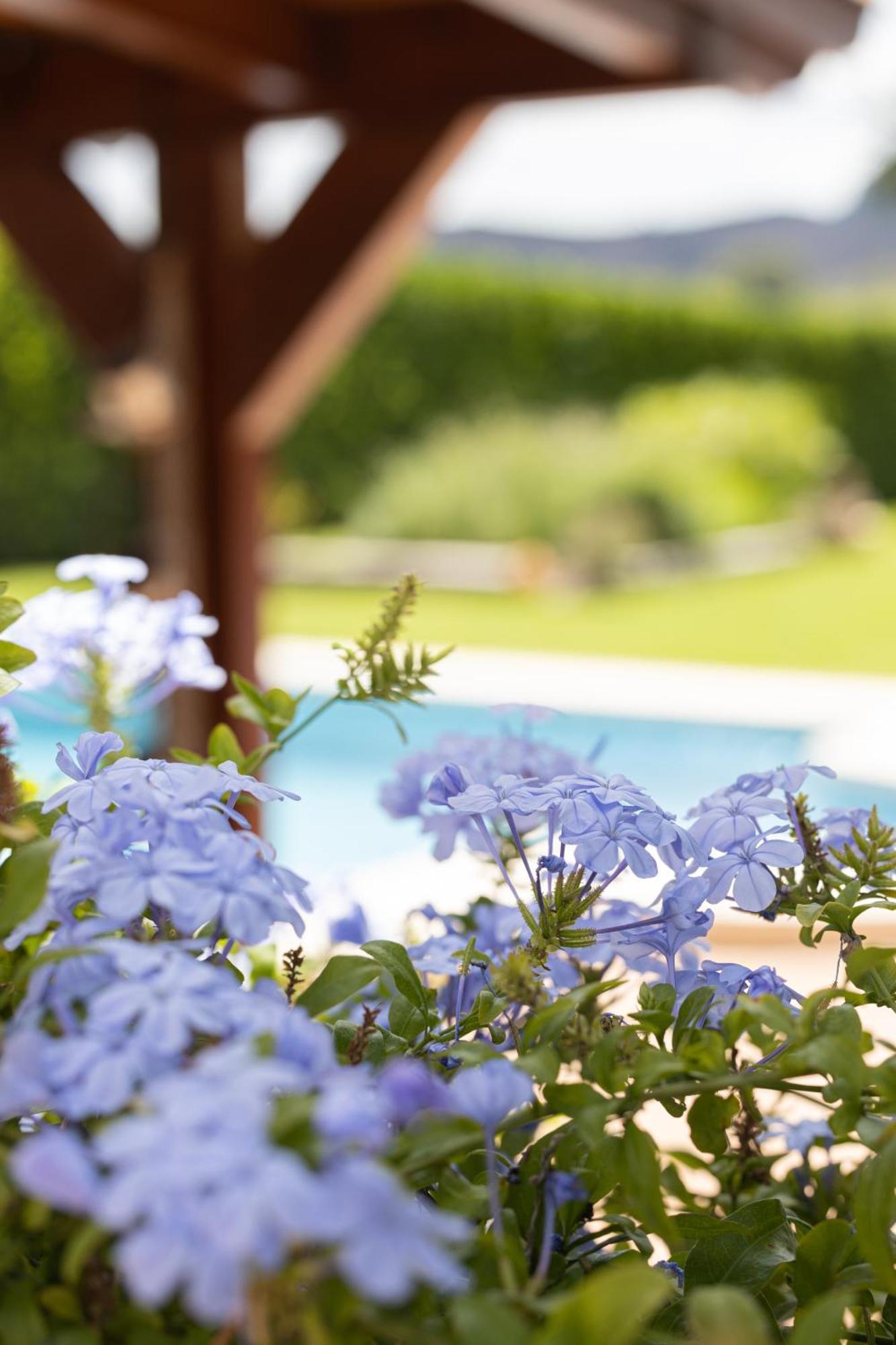 Finca La Marina Denia Ngoại thất bức ảnh